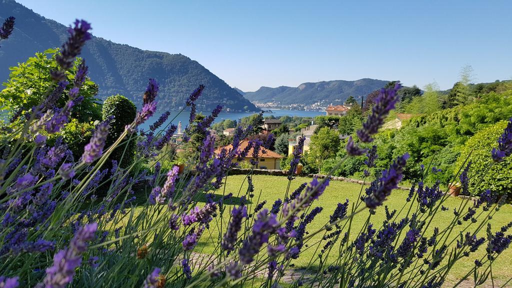 La Finestra Sul Lago Cernobbio Exterior photo